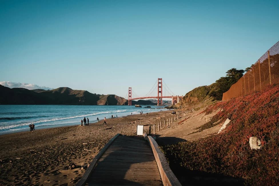 San Francisco — the Vine studio
